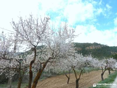 Valle Cabriel-Manchuela conquense;pueblos negros guadalajara peneda geres puerto de canencia collado